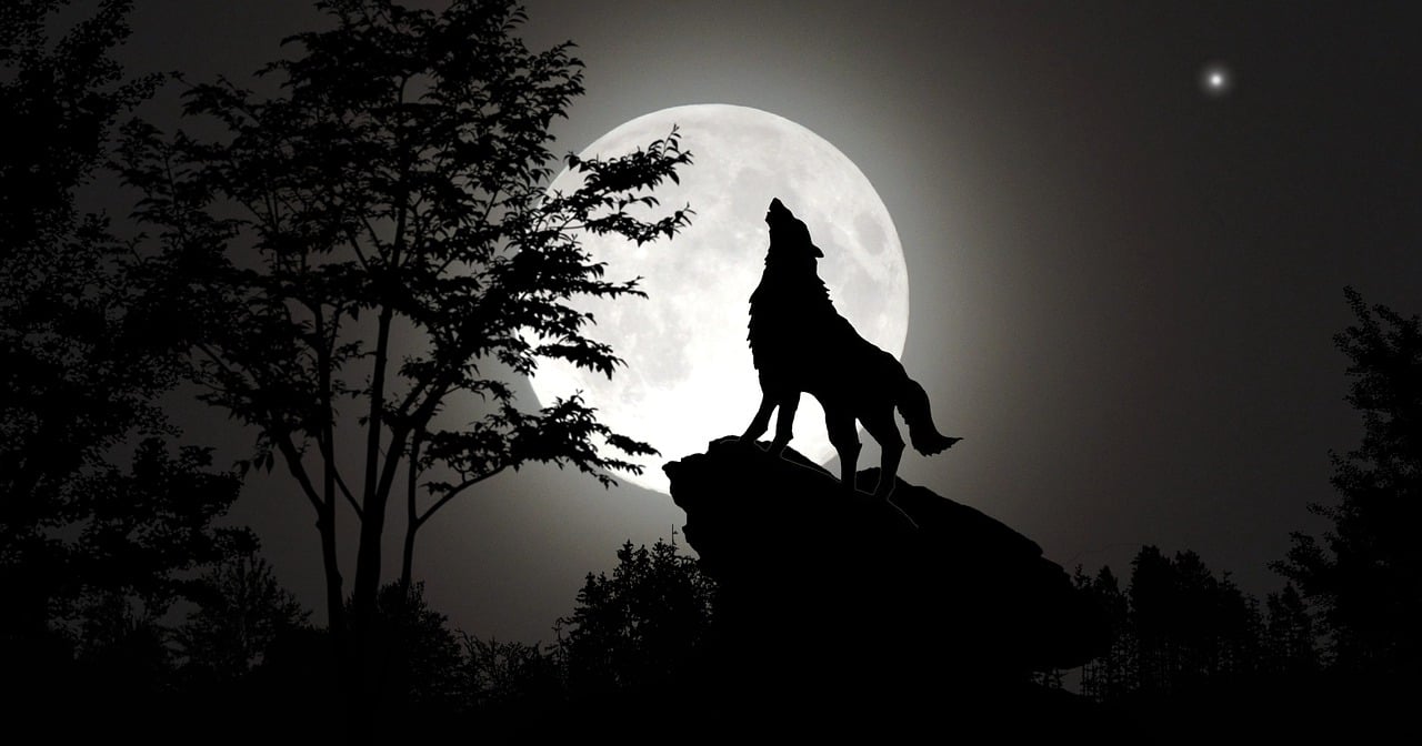 Top 20 Werewolf Video Games